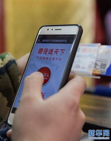 電商服務與信息服務雙翼齊飛，助推西藏阿里牧區(qū)特色產(chǎn)品走向廣闊市場
